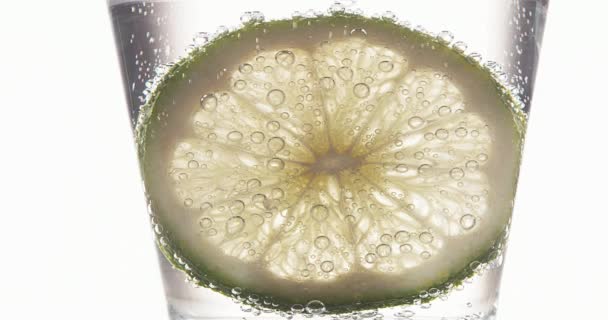 Slice of Green Citrus in a Glass - Video