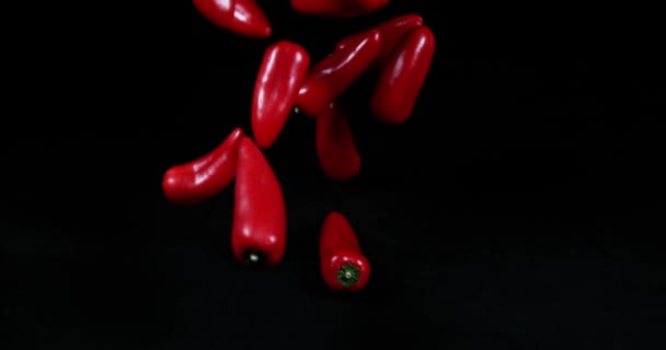 Red Sweet Pepper, capsicum annuum, Vegetables falling against Black Background, Slow motion 4K - Materiał filmowy, wideo