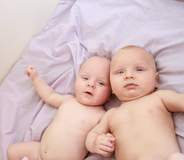 portrait intérieur de bébés jumeaux
 - Photo, image