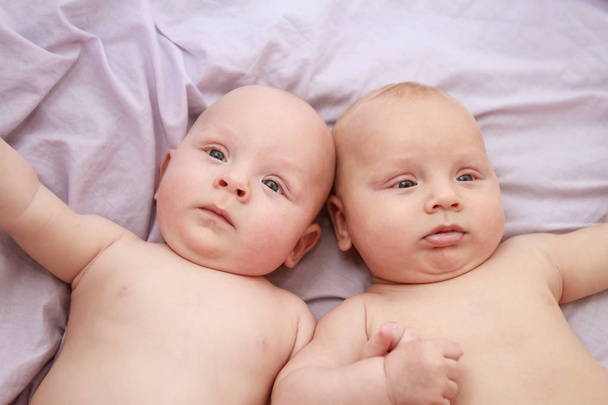 retrato interior de gêmeos de bebê
 - Foto, Imagem