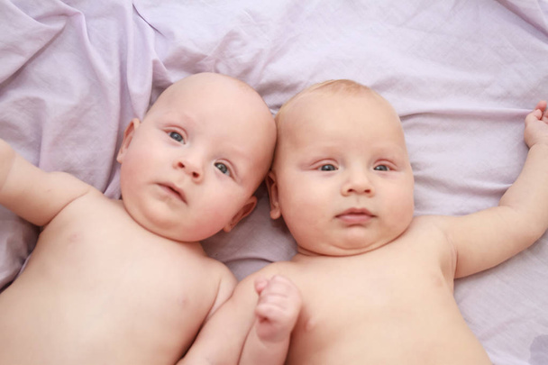 indoor portret van baby tweeling - Foto, afbeelding