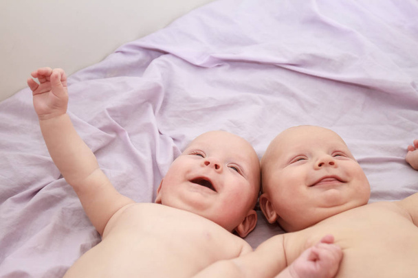 retrato interior de gêmeos de bebê
 - Foto, Imagem