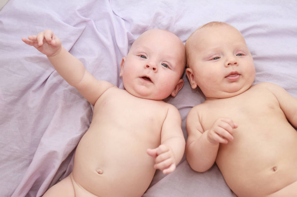 indoor portrait of baby twins - Photo, Image