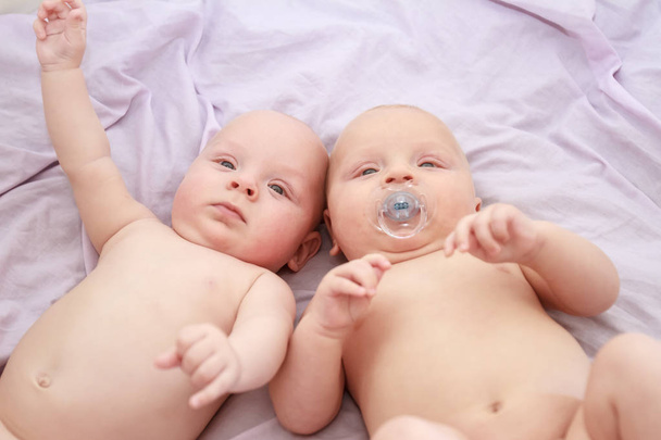 indoor portret van baby tweeling - Foto, afbeelding