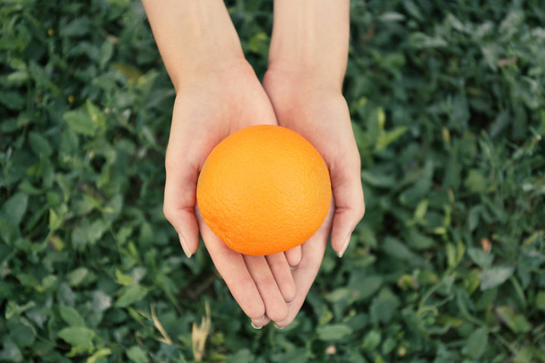 Female hands holding orange o - Foto, imagen