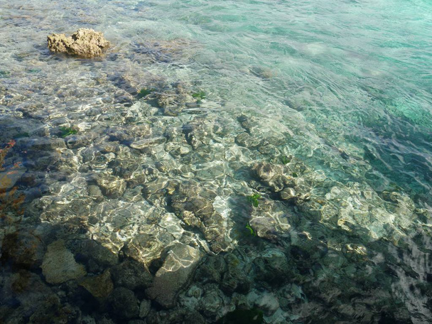 Rocks and corals are visible through the crystal clear waters of the northern marianas - Photo, Image