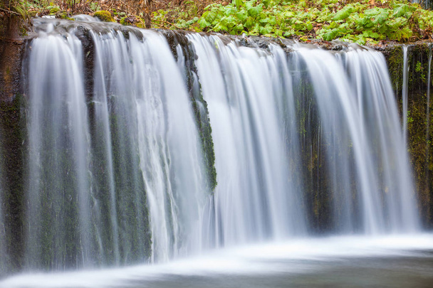 Shiraito Waterfall in autumn season - Photo, Image