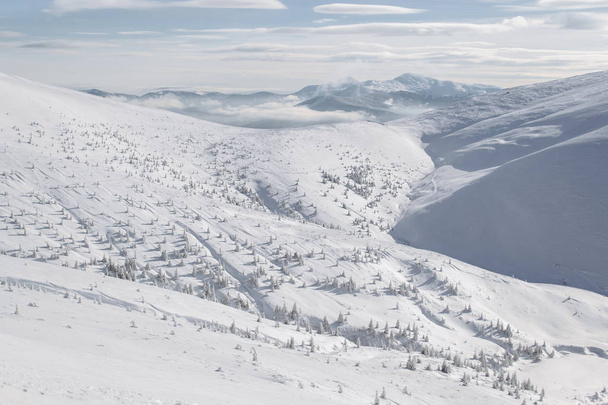 снігу capped альпійських гір - Фото, зображення