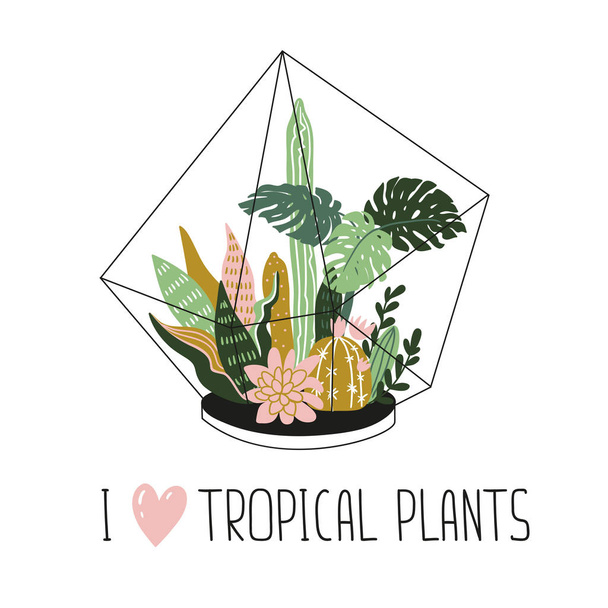 tropical house plants - Vektor, Bild
