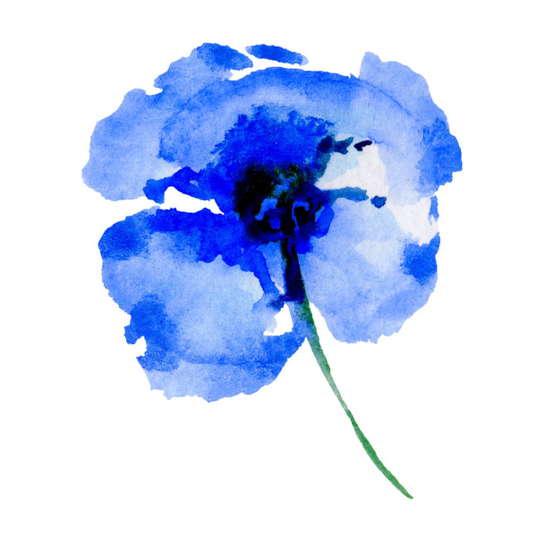 Wildflower poppy flower in a watercolor style isolated. - Fotoğraf, Görsel