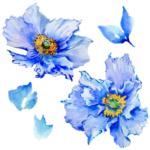 Wildflower poppy flower in a watercolor style isolated. - Valokuva, kuva