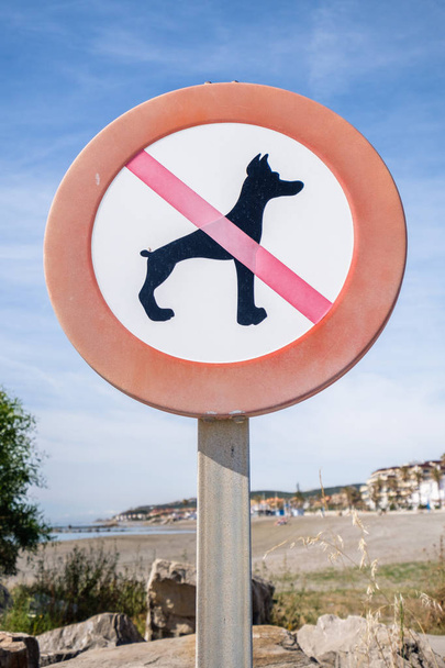 No dogs sign. - Foto, afbeelding