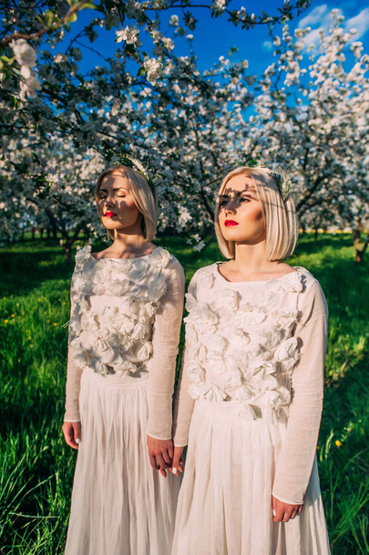 attractive twin sisters  - Fotografie, Obrázek