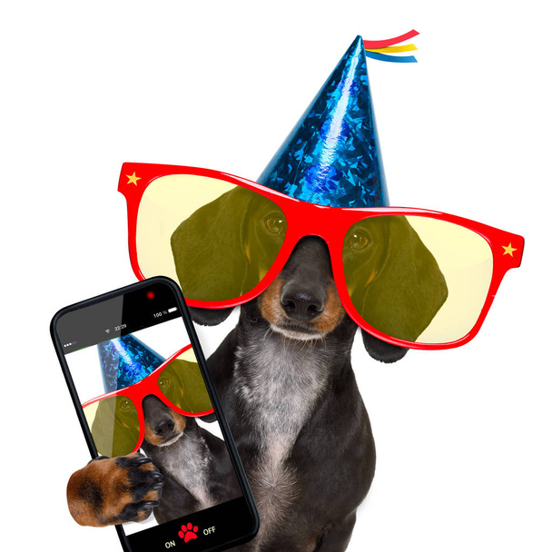 happy  birthday party dog - Фото, изображение