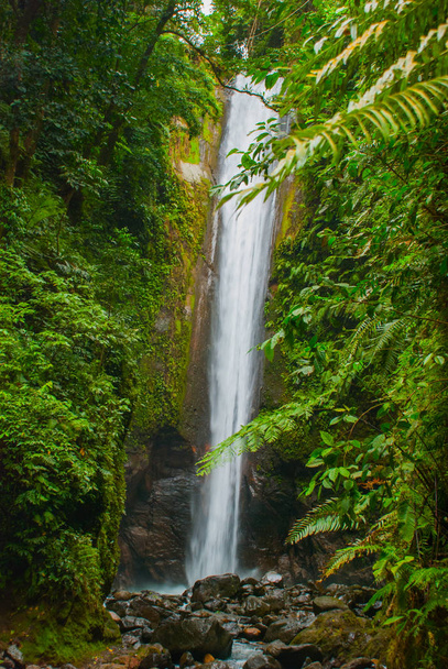 Casaroro waterfall, Philippines. Valencia, island Negros. - Fotoğraf, Görsel