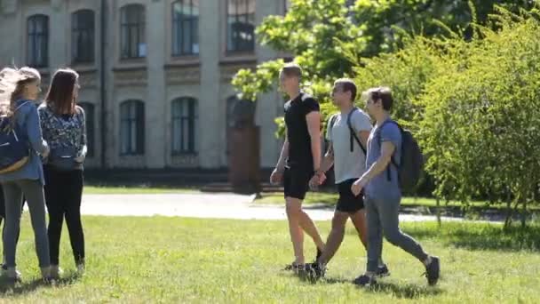 Různorodá skupina studentů shromažďování na trávníku parku - Záběry, video