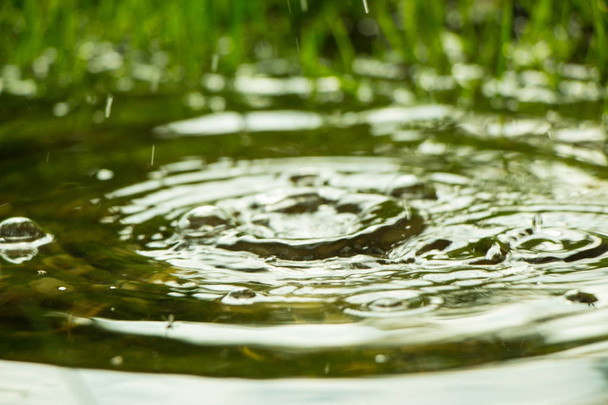 Regen vallen in de plas en de cirkels op het water - Foto, afbeelding