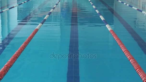 Mladá dívka v brýle a čepici plavání styl tahu procházení v modré vodě bazénu. - Záběry, video