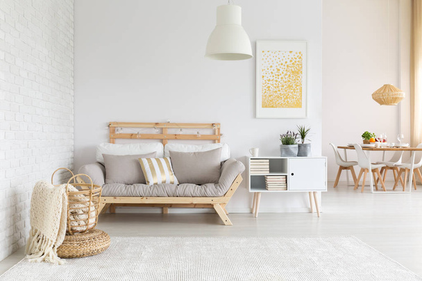 White and beige living room - Photo, image