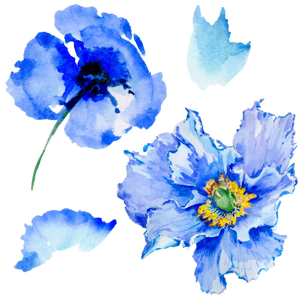 Wildflower poppy flower in a watercolor style isolated. - Φωτογραφία, εικόνα