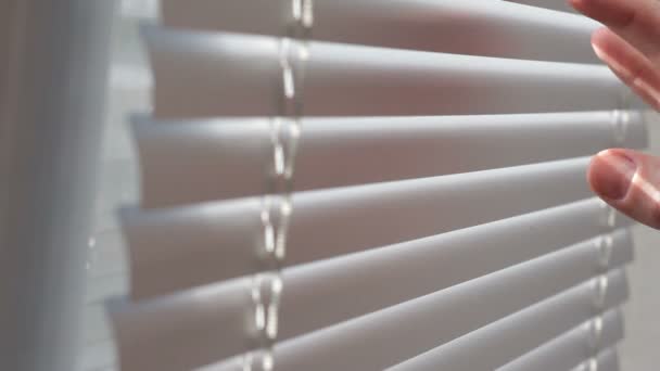 επανδρώνει αναπτύγματα χέρι τα blinds να εξετάσουμε έξω από το παράθυρο - Πλάνα, βίντεο