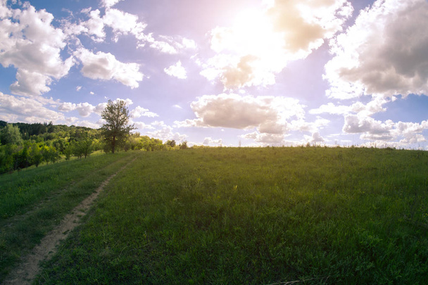 Солнечный летний пейзаж на лугу рядом с грунтовой дорогой
. - Фото, изображение