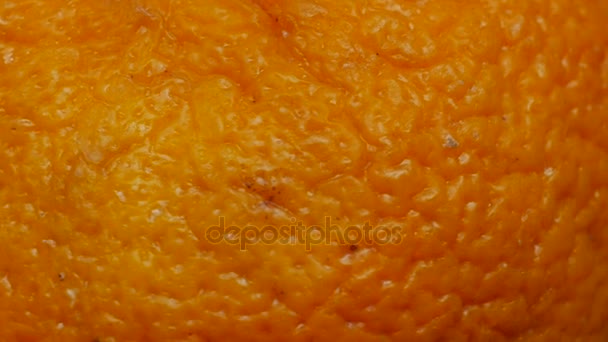 alt, faltig, geschrumpft, Mandarine kortikale Oberfläche rotiert Nahaufnahme - Filmmaterial, Video