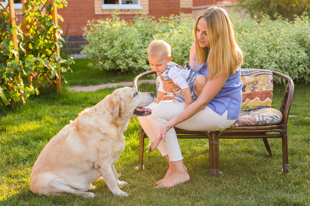 Játék-val a kutya-egy napsütéses napon a boldog család. - Fotó, kép