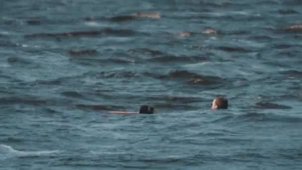 Surfař na wakeboard v plné plavky vytáhli z vody natažené řetězcem - Záběry, video
