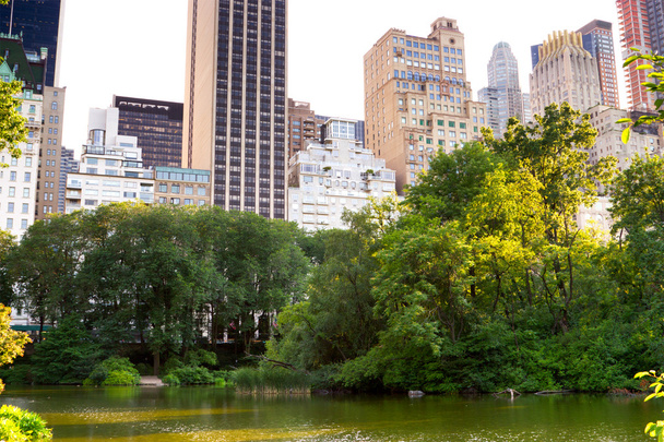 池、セントラル ・ パーク、ニューヨーク - 写真・画像