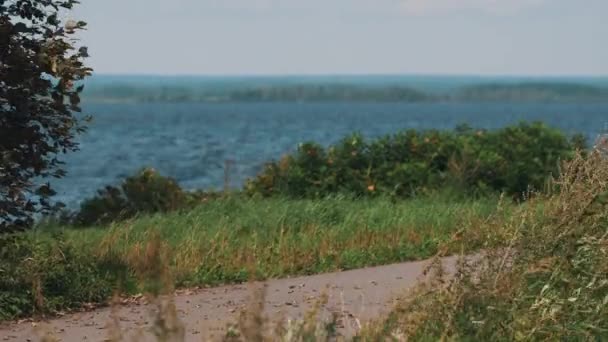 Ώριμη γυναίκα σε άσπρο σακάκι που περπατά κατά μήκος δρόμο κοντά στη λίμνη, καλοκαιρινή μέρα - Πλάνα, βίντεο