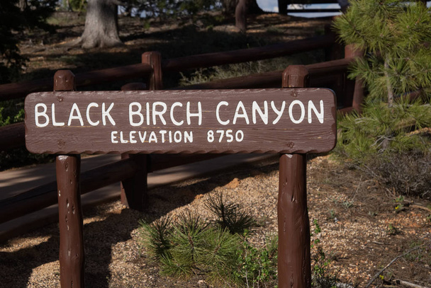 Černá bříza Canyon přehlédnout znamení - Fotografie, Obrázek