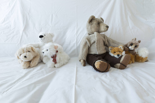 Gruppe niedlicher Stofftiere auf einer weißen Couch - Foto, Bild