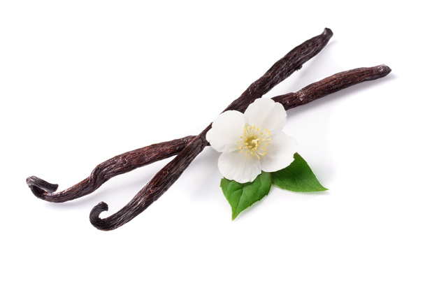 Vanille sticks met bloem en blad geïsoleerd op witte achtergrond - Foto, afbeelding
