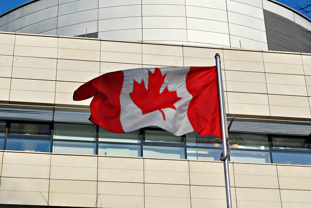 ondeando bandera canadiense
 - Foto, Imagen