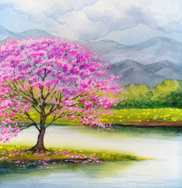 Aquarel landschap. Bloeit roze tree door lake - Foto, afbeelding