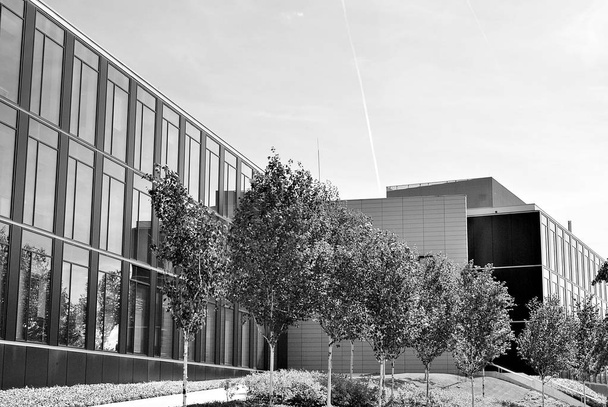 Modern bina. Modern ofis binası ile cam cephe. Siyah ve beyaz - Fotoğraf, Görsel