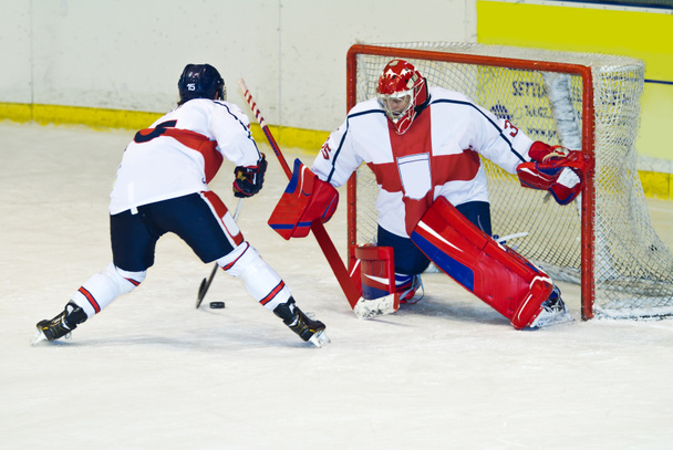 Hockey player - Photo, Image