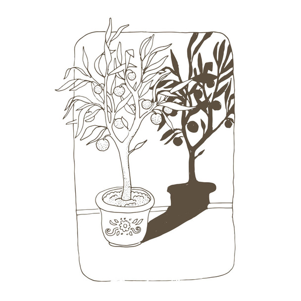 Mandarin tree in a pot with a shadow. vector illustration. - Vector, imagen