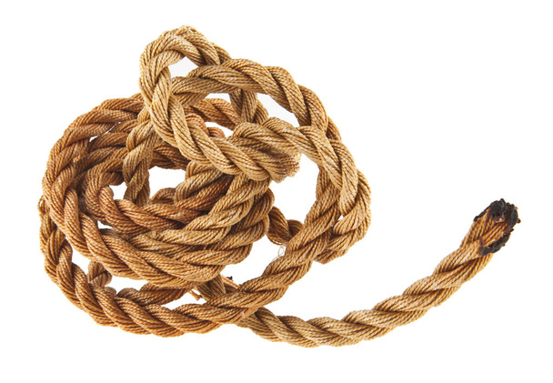 rope on white background - Фото, зображення