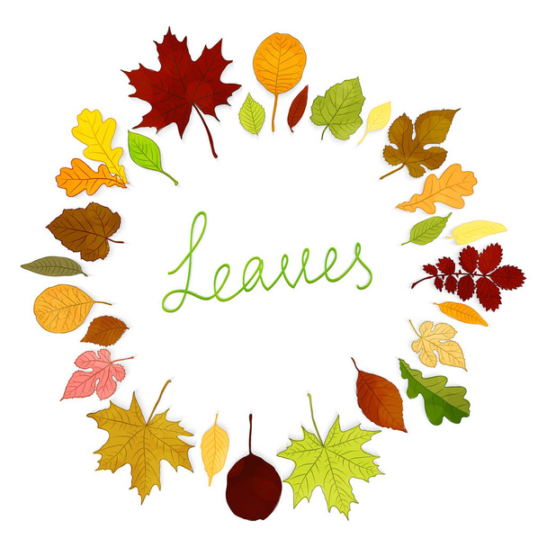 Colorful leaves frame on white background vector - Vector, Image