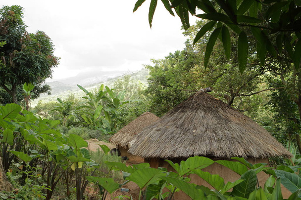 Traditionele huizen en dorpen in Afrika - Foto, afbeelding