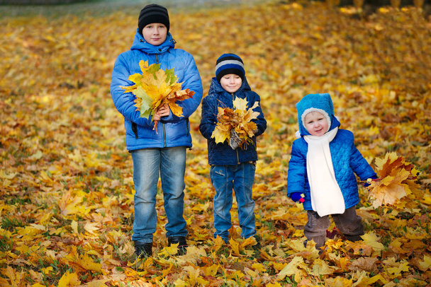 boys playing with maple leaves in park - Foto, immagini