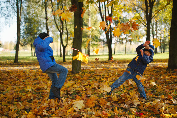 two boys throwing maple leaves in park - 写真・画像