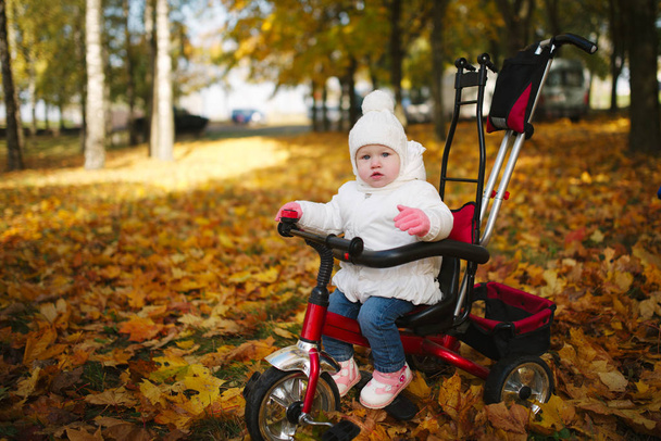 cute little girl with bike in park - Fotografie, Obrázek
