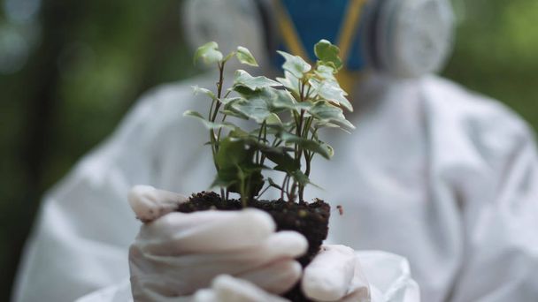 Biochemist holding small plant - Foto, Imagen