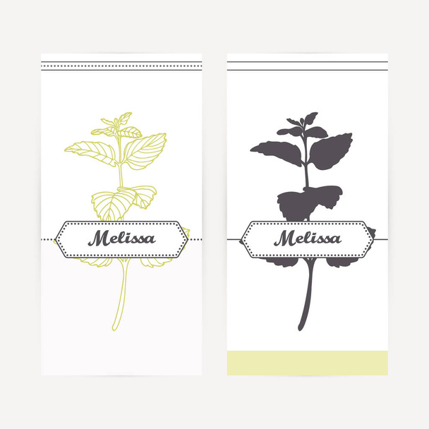 Hand drawn melissa in outline and silhouette style. Spicy herbs - Vector, Image