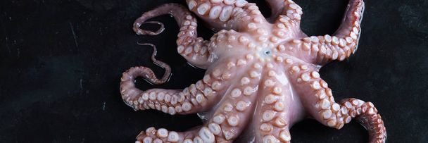 Raw octopus on black stone - Zdjęcie, obraz