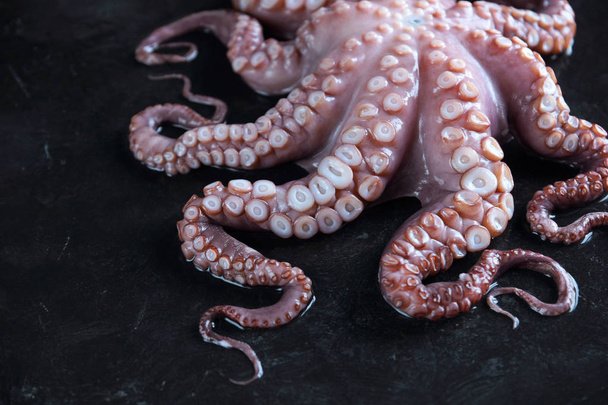 Raw octopus on black stone - Valokuva, kuva