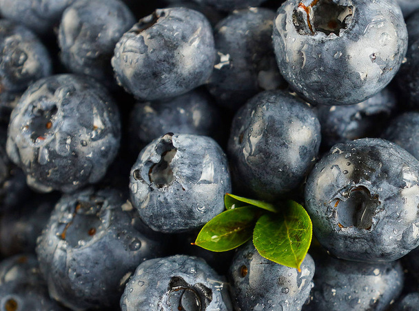 Blueberries with drops of water - Foto, Imagen